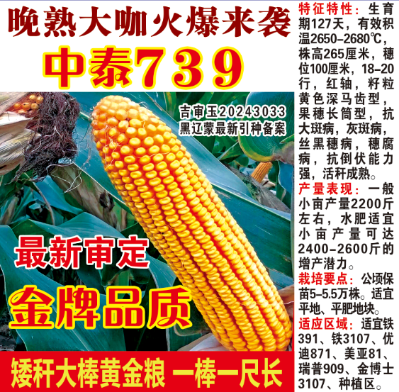 中泰739