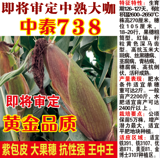 中泰738